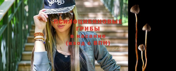 мдпв Краснотурьинск