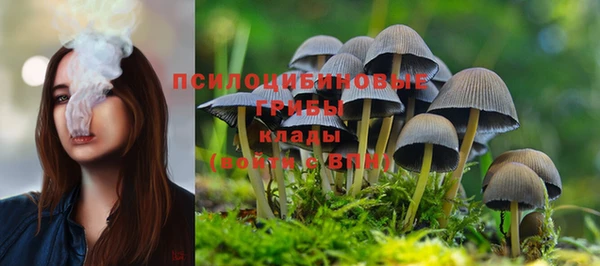 кокс Краснослободск